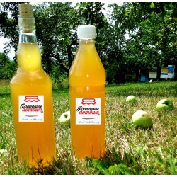 Ocet jabłkowy przwdziwie domowy (Butelka szklana)